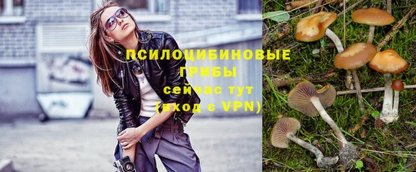 синтетический гашиш Ельня