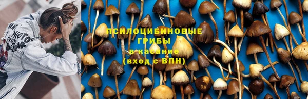 марки lsd Елабуга