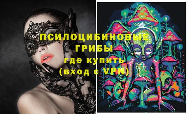 марки lsd Елабуга