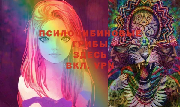 марки lsd Елабуга